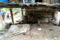 hai vo chong bi set danh tu vong khi di lam ray