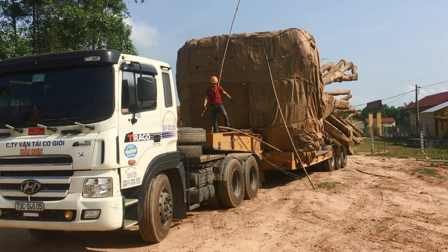 quai thu lot nhieu tinh thanh tai xe do csgt bang cach nhay den