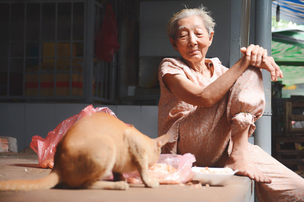 gap lai nguoi me nuoi ca ngan cho meo hoang van gian truan don doc cuoi doi