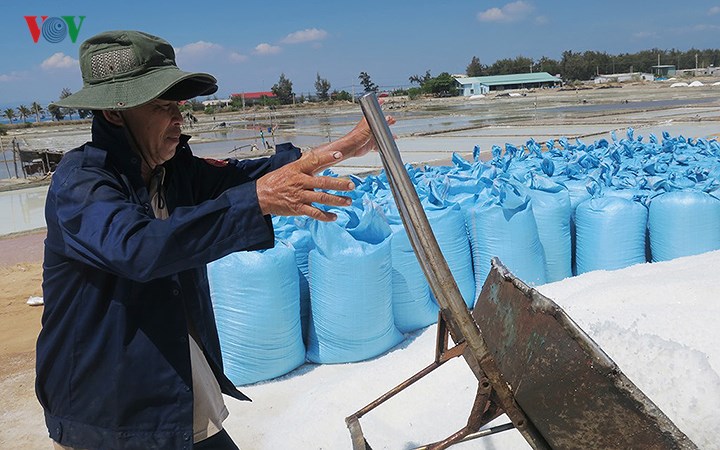 diem dan ninh thuan ho hoi thu hoach muoi vi duoc gia