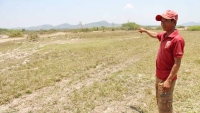 vi sao can bo dia chinh bi khoi to van duoc tiep tuc cong tac