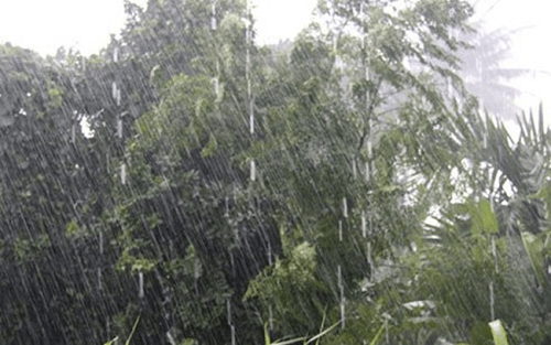 du bao thoi tiet hom nay 218 ha noi dem va sang co mua dong