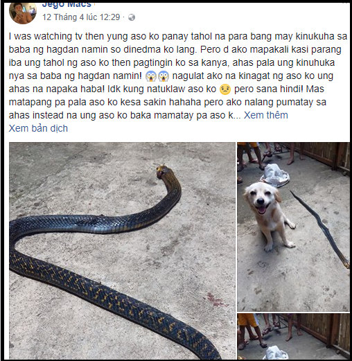nu cuoi cuoi cung cua chu cho cung anh mat em lam tot chu cau chu truoc khi chet khien dan mang xuc dong