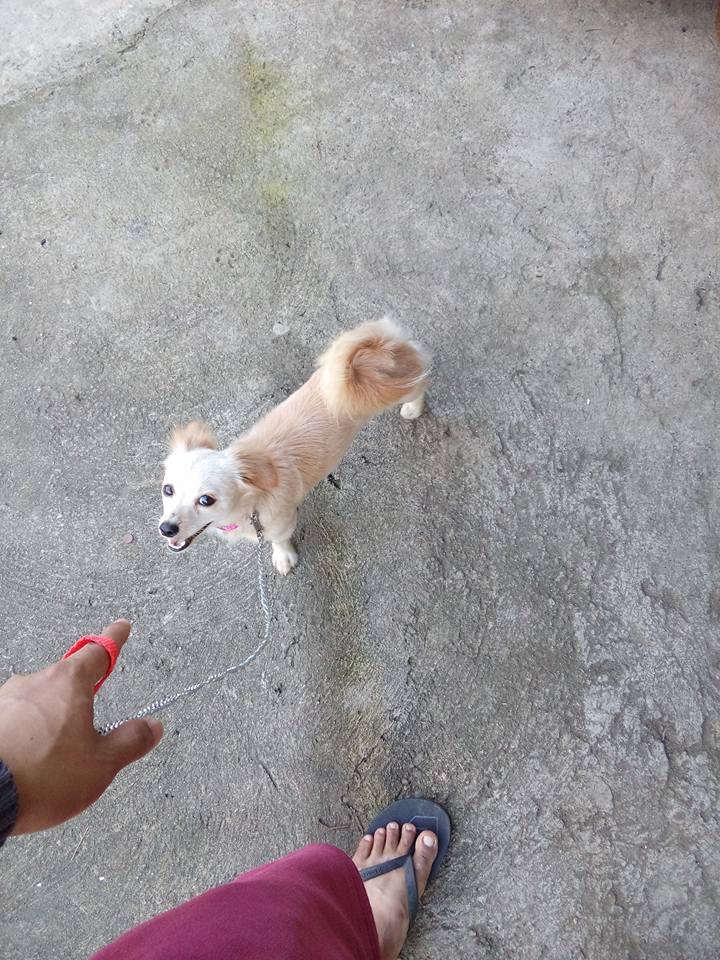 nu cuoi cuoi cung cua chu cho cung anh mat em lam tot chu cau chu truoc khi chet khien dan mang xuc dong
