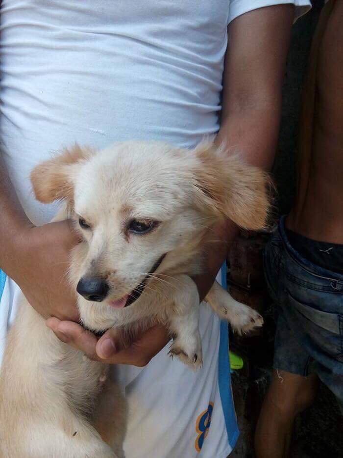 nu cuoi cuoi cung cua chu cho cung anh mat em lam tot chu cau chu truoc khi chet khien dan mang xuc dong