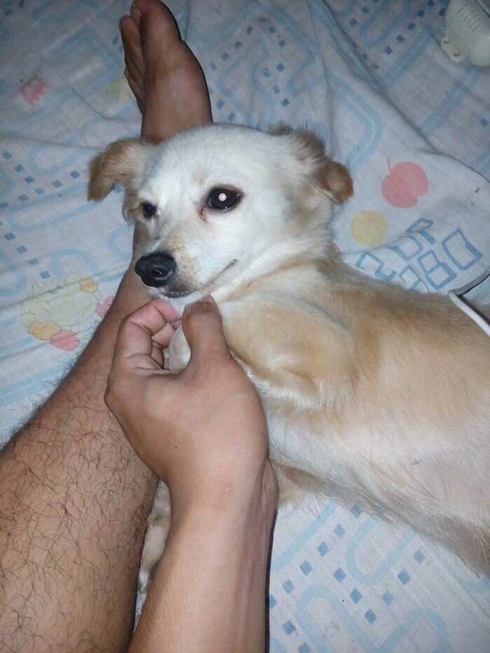 nu cuoi cuoi cung cua chu cho cung anh mat em lam tot chu cau chu truoc khi chet khien dan mang xuc dong