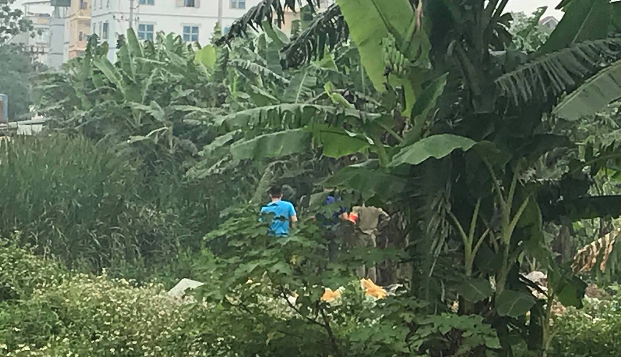 ha noi phat hien thi the nhieu phan bi chay xem trong bui chuoi