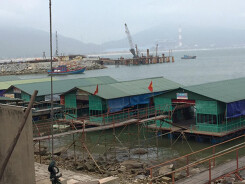 Không còn hiện tượng cá, mực nuôi lồng ở Vũng Áng chết bất thường