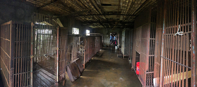 giai cuu hai ca the gau nuoi nhot cuoi cung tai ninh binh