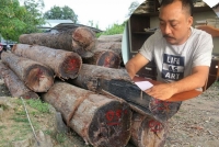 chuyen la vit an mot tren dong lua cua dan xa thu phi tien trieu