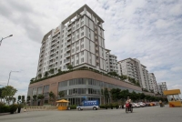 ubnd tphcm muon bo ban do khu thu thiem cua ong vo viet thanh