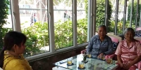 nong vo hui ca tram ty dong vo bo tron chong tu tu
