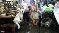 tiet lo bat ngo sieu may bom te liet o ron ngap sai gon