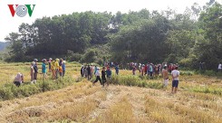 Công an Đà Nẵng nghi ngờ 2 nghi phạm giết người có biểu hiện tâm thần