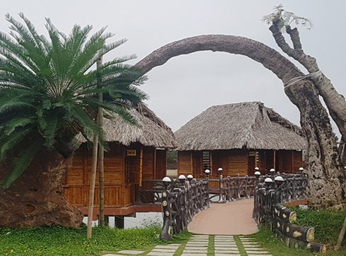 thanh tra du an ca lua cua em trai bi thu thanh uy tp thanh hoa