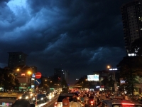 ha noi do cay co thu 5 nguoi bi thuong