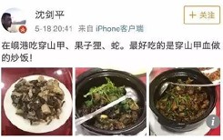 Khoe ảnh ăn tê tê ở Việt Nam, phó chủ tịch công ty Trung Quốc bay chức
