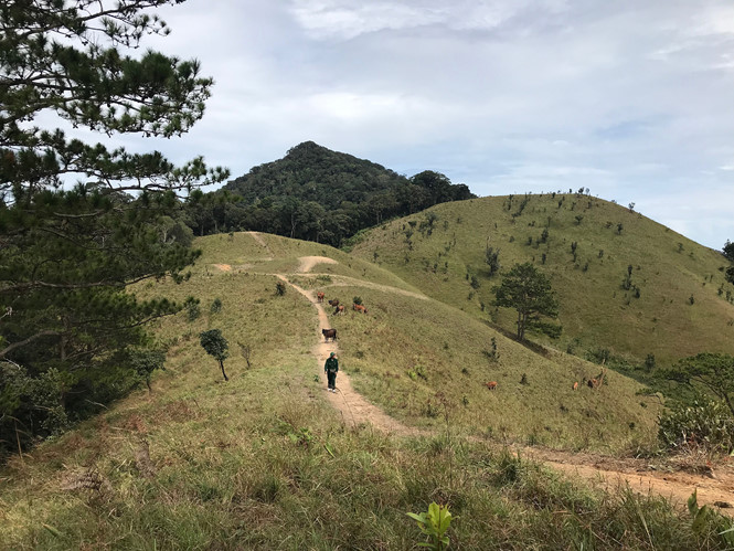2 phuot thu da tu nan nen cam cung duong phuot ta nang phan dung
