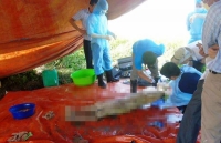 khai quat thi the nu ke toan danh sach ngay dinh menh