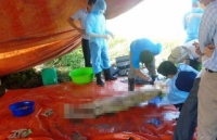 kinh hoang cuu kip mot tre so sinh nghi bi me mang chon