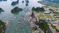 gioi dau tu do xo den phu yen theo con sot dat