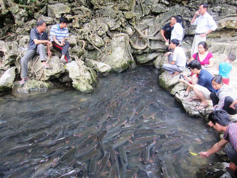 giai ma chuyen chua biet ve suoi ca than o thanh hoa