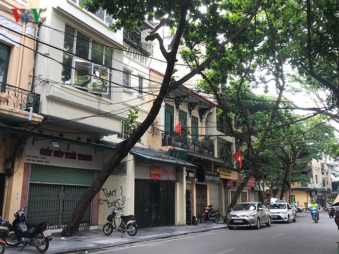 hiem hoa tu cay xanh co nguy co gay do trong mua mua bao