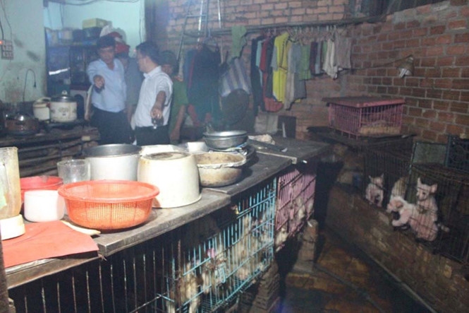 nha nuoi den 40 con cho lam doan kiem tra chiu khong noi mui hoi