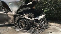 cho va trung lamborghini chu phai den 155 trieu dong