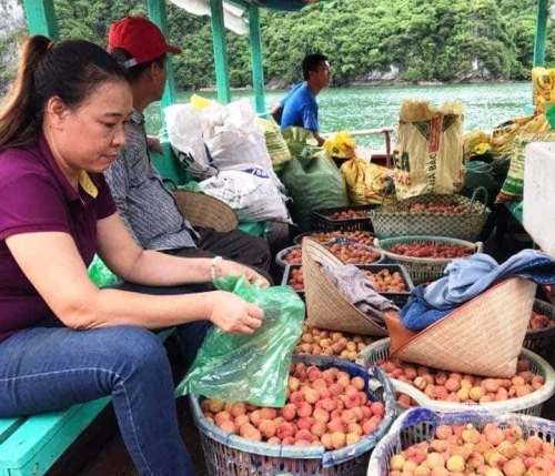 huyen o hai phong keu goi moi cong chuc mua 20 kg vai thieu