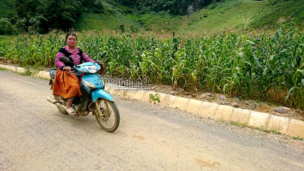 lanh gay cung duong doc dao xuyen lanh dia ma tuy ta de