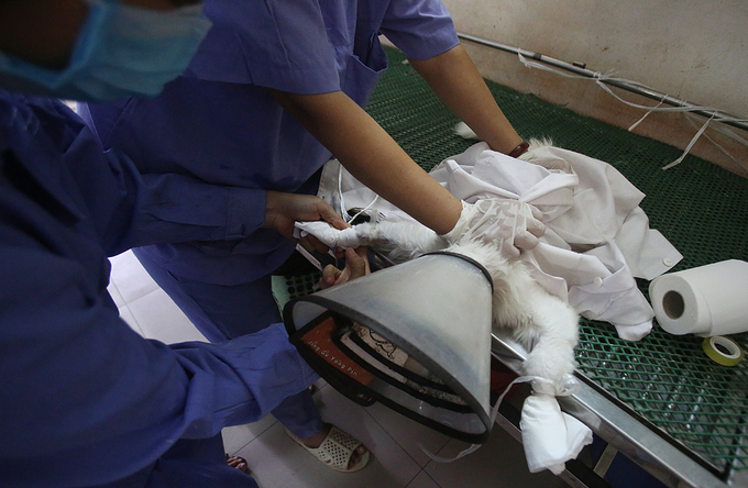 thu cung xep hang truyen nuoc vi soc nhiet