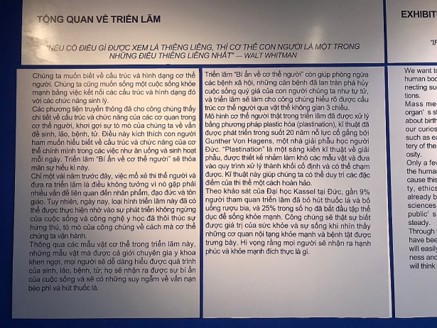 trien lam xac nguoi o tp hcm nhieu mau vat khong de trong long kinh nhung nguoi tham quan cung khong dam so vao hien vat