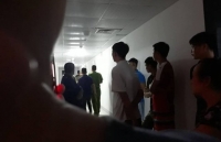 mexico hai chinh tri gia dang cua tong thong moi dac cu bi sat hai