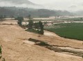 Bơi ra cứu cháu bé, Phó bí thư bị nước lũ cuốn trôi tử vong