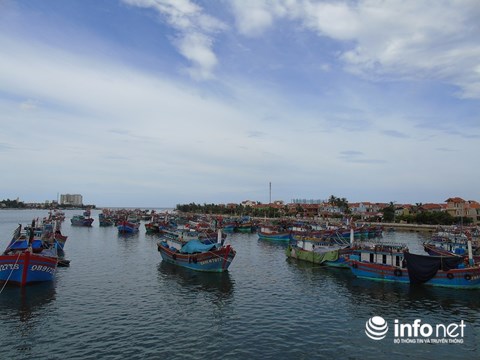 quang binh ngu dan khon kho vi cua bien nhat le bi boi lang