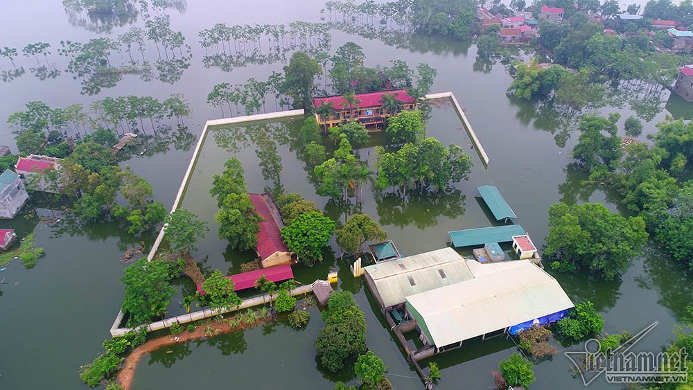 khung canh kho ngo noi ron lu chuong my sau nua thang chim trong nuoc