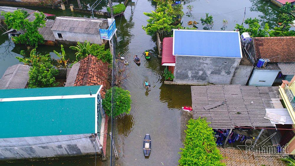 khung canh kho ngo noi ron lu chuong my sau nua thang chim trong nuoc