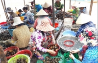 mien tay loay hoay doi pho lu len cao khi sap den ngay khai giang