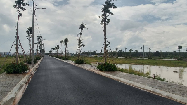 ba ria vung tau yeu cau dung ngay viec phan lo ban nen dat ruong muoi
