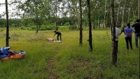 canh sat mexico phat hien 8 thi the tai khu du lich noi tieng
