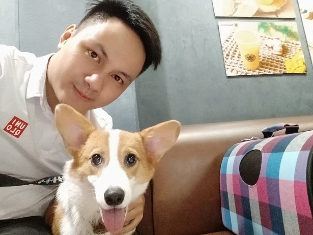 den chu con bi cho can thi tai sao lai tin vao cau noi yen tam di cho khong can dau
