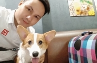 nuoi cho khong huan luyen co the tro thanh sat thu voi gia dinh