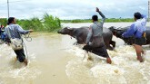 Video, ảnh: Vỡ đập ở Myanmar, hơn 100 ngôi làng chìm trong biển nước