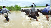 Video, ảnh: Vỡ đập ở Myanmar, hơn 100 ngôi làng chìm trong biển nước