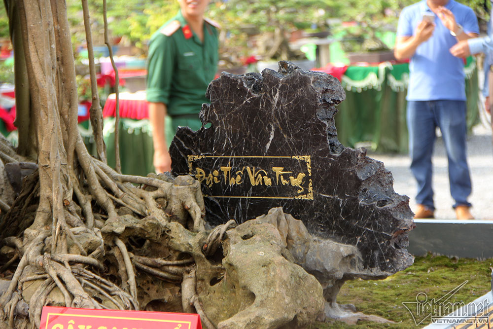 trai tham do don cay dat vang 10 ti xon xao khap chon