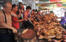 Ăn thịt chó, mèo là tội phạm hình sự ở một số nơi trên thế giới