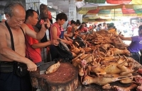 sao viet len tieng chuyen nen hay khong nen an thit cho