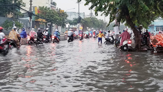 nhieu tuyen sai gon ngap sau sau mua lon