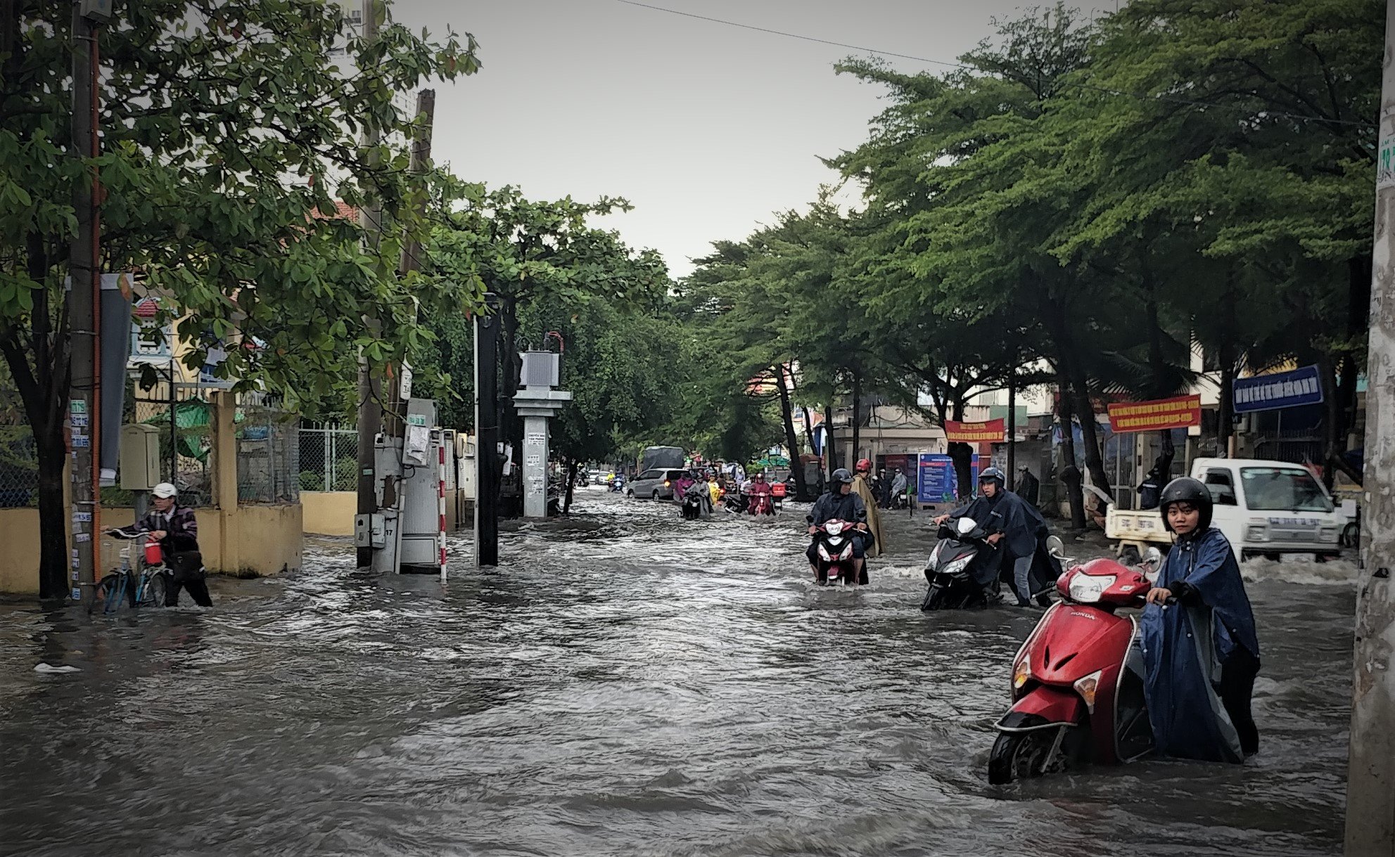 khu nha giau sai gon ngap te tua dan rung minh loi nuoc ban
